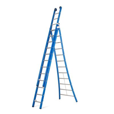 ASC Premium Ladder 3x12 sporten
